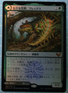 ＭTG/日本語/foil/厄介な害獣、ブレックス/ストリクスヘイブン：魔法学院/レア