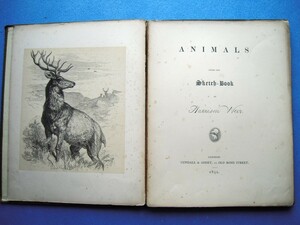 木口木版24図！『動物たち ハリソン・ウィアーのスケッチブックから』1851 Animals from the Sketch Book of Harrison Weir