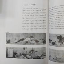 「近世異端の芸術-若冲・蕭白/芦雪- 鈴木進 マリア書房 昭48」_画像10