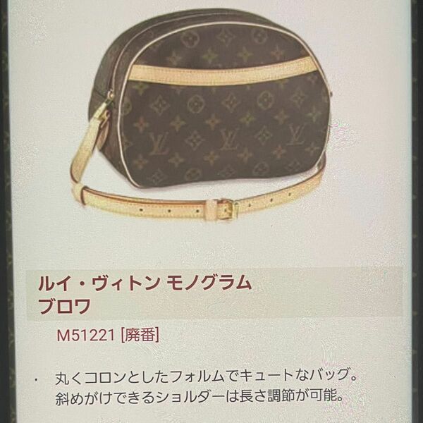 LOUISVUITTON モノグラム ブロワ 斜め掛け ショルダーバッグ