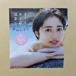 奥山かずさ DVD 週刊プレイボーイ付録 オトナ女子旅温泉