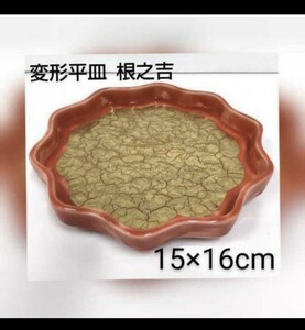 岩石9) ③ 和食器 まとめて 10枚 変形中皿 朱色 ゴールド 根之吉 料亭 旅館 割烹 居酒屋 小料理店 飲食店 花 金 業務用 (240207)