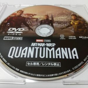 アントマン&ワスプ:クアントマニア　DVDディスク