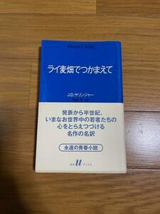 浅井健一氏もオススメ！ライ麦畑でつかまえて 