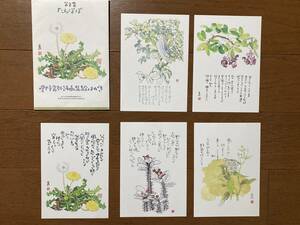 星野富弘　ポストカード　詩画集絵はがき 第8集「たんぽぽ」　季節　花柄　絵葉書　絵ハガキ　5枚　セット