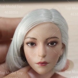 Art hand Auction Female Silver Hair Replacement Head 1/6 Scale Alien Unique General Purpose Custom PVC Face Head Miniature 12 Inch Action Figure 646, doll, character doll, custom doll, others