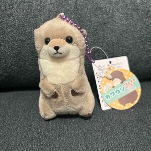 ★新品未使用品★げんきなたっち　くったりカワウソ　ぬいぐるみマスコット