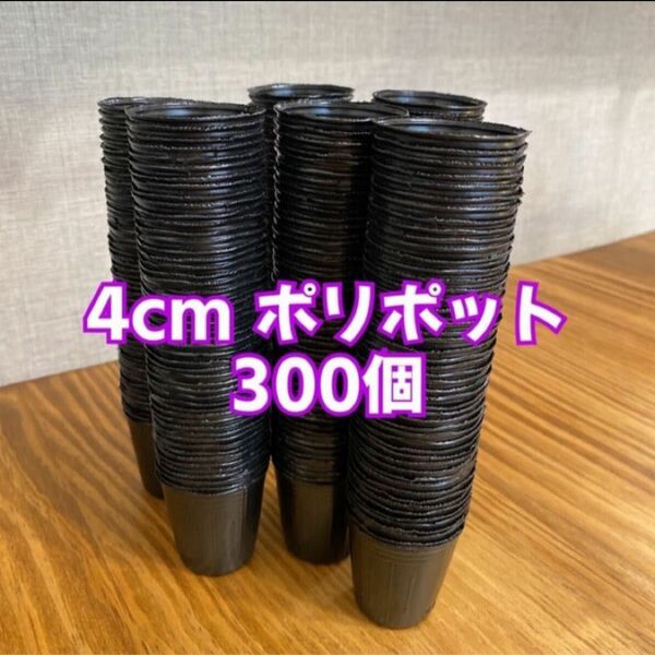 ＊4cmポリポット＊300個