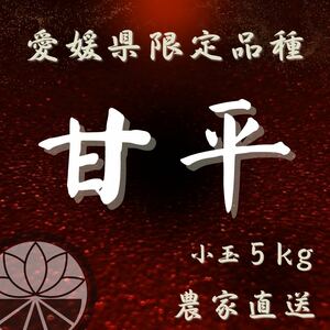 【甘平】5kg小玉　希少な愛媛県限定品種　５キロ箱　訳あり 家庭用　柑橘みかん　愛媛農家直送　送料無料　果物　フルーツ　産地直送