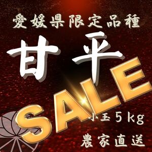 【甘平】5kg小玉　希少な愛媛県限定品種　５キロ箱　訳あり 家庭用　柑橘みかん　愛媛農家直送　送料無料　農家のおすそわけ　産地直送