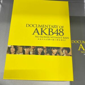 89 ＤＯＣＵＭＥＮＴＡＲＹ ｏｆ ＡＫＢ４８ ＮＯ ＦＬＯＷＥＲ ＷＩＴＨＯＵＴ ＲＡＩＮ 少女たちは涙の後に何を見る？ コンプリート