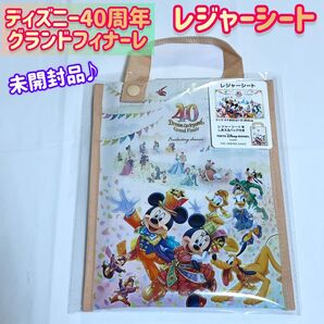 レジャーシート「ディズニー40周年グランドフィナーレ」