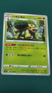 ポケモンカード ハヤシガメ 007/100