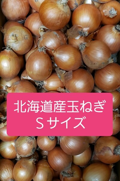◆北海道産　玉ねぎ　Sサイズ　約１０キロ