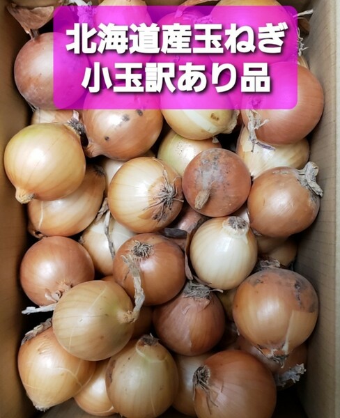 【送料込み】北海道産　玉ねぎ　訳あり品　２S(SS)サイズ小玉　約１０キロ 玉ねぎ