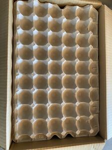 卵トレー　34枚　送料込み　送料無料　紙製　卵紙パック　デュビア　コオロギ　昆虫飼育　発送地域限定
