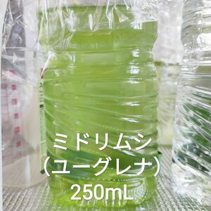 ミドリムシ（ユーグレナ）　250mL