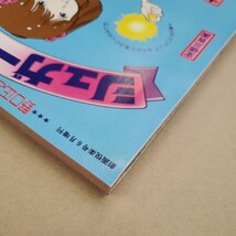 野口正之のさっちゃんランド☆シュガーベイビィ 昭和56年6月5日発行 劇画悦楽号6月増刊 内山亜紀_画像6