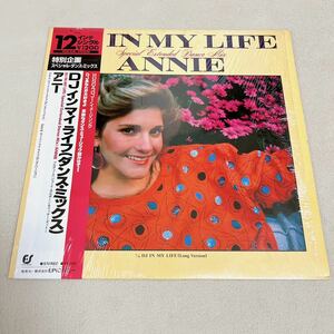 【国内盤帯付シュリンク付】ANNIE DJ IN MY LIFE アニー DJインマイライフ / 12インチシングルレコード / 12 3H 161 / クラブダンス