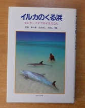 イルカのくる浜―モンキーマイアのイルカたち　辺見 栄　聖パウロ女子修道会_画像1