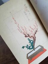 30s 戦前 珍品 レア 池坊 生花 学習帳 初等科 昭和 11年 1936年 大日本 華道 学院 絵 図 イラスト アンティーク ビンテージ 骨董 古美術_画像3