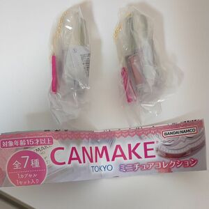 CANMAKE　ミニチュア　カラフルネイルズN28N19 セット