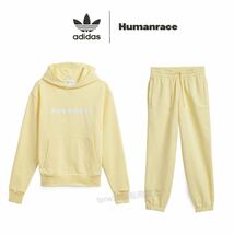 新品 ファレル adidas スウェット セットアップ【XL】定価31000円 Humanrace ヒューマンレース 上下 イエロー PW アディダス 46991 パンツ_画像1