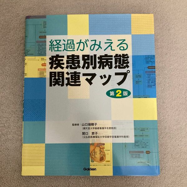 経過がみえる疾患別病態関連マップ （第２版） 山口瑞穂子／監修　関口恵子／監修