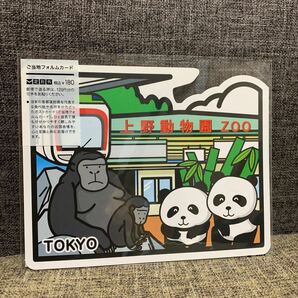 ご当地フォルムカード 東京 東京都 上野動物園 ゴリラ パンダ はがき 絵葉書 ポストカード 限定