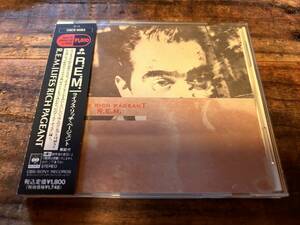 国内盤 R.E.M. / LIFES RICH PAGEANT/ 