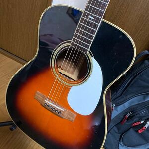 Aria Dreadnought AF-65 BS フォークギター オール単板　Ritterギグケース付