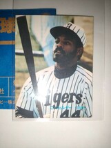 フィルダー　89 カルビープロ野球チップス　No.107　阪神タイガース_画像1