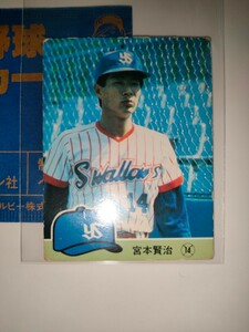 宮本賢治　84 カルビープロ野球チップス No.341　ヤクルトスワローズ