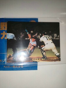 松本匡史　81 カルビープロ野球チップス　No.341　読売ジャイアンツ