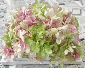  preserved flower pillar mid hydrangea 20g rom and rear (before and after) green pink glate