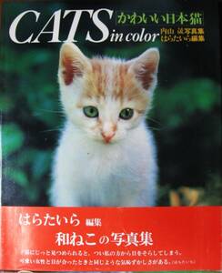 かわいい日本猫 CATS in color■内山晟/はらたいら■立風書房/昭和54年/初版/帯付