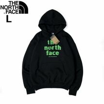 1円～!売切!【正規新品】THE NORTH FACE◆EVOLUTION VINTAGE HOODIE パーカー US限定 2023最新 グラフィック ノイズロゴ(L)黒 181130-30_画像1