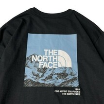 1円～!売切!【正規新品】THE NORTH FACE◆L/S LOGO PLAY 長袖 Tシャツ ロンT US限定 袖ロゴ ヒマラヤ 落描き風 グラフィック(L)黒180902-20_画像4