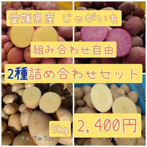 愛媛県産　じゃがいも 組み合わせ自由【2種詰め合わせ】 5kg