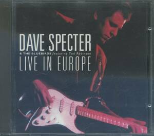 BLUES：DAVE SPECTER ＆ THE BLUEBIRDS／LIVE IN EUROPE feat.Tad Robinson