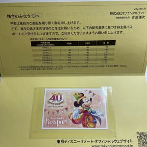 ★送料無料★ 東京ディズニーランド or ディズニーシー 株主優待券 チケット　2024年6月30日迄