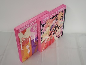 美品 LD-BOX　少女革命ウテナ TVシリーズ　全11巻　LD　セット