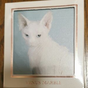 Venus Marble (ヴィーナスマーブル) アイシャドウキャットシリーズ (スフィンクス)