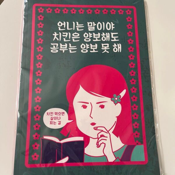 新品未使用品 B5 ノート 罫線あり 韓国