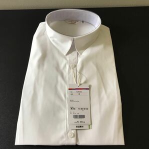 ワイシャツ　レディース 長袖 形態安定 白