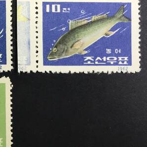 北朝鮮 1962年発行 魚 切手 未使用 NHの画像4