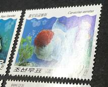 北朝鮮 2007年発行 魚 切手 未使用 NH_画像5