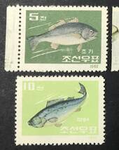 北朝鮮 1962年発行 魚 切手 未使用 NH_画像2