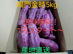 【送料無料！1円スタート〜】さつまいも鳴門金時5kg