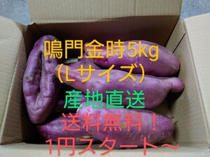 【送料無料！1円スタート〜】さつまいも鳴門金時5kg（Lサイズ）